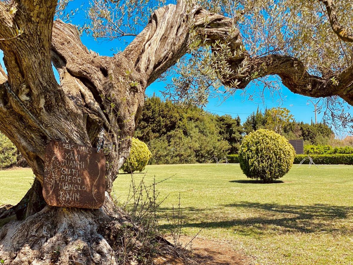 La Casa Del Riu Vell Villa Sant Jaume d'Enveja Luaran gambar