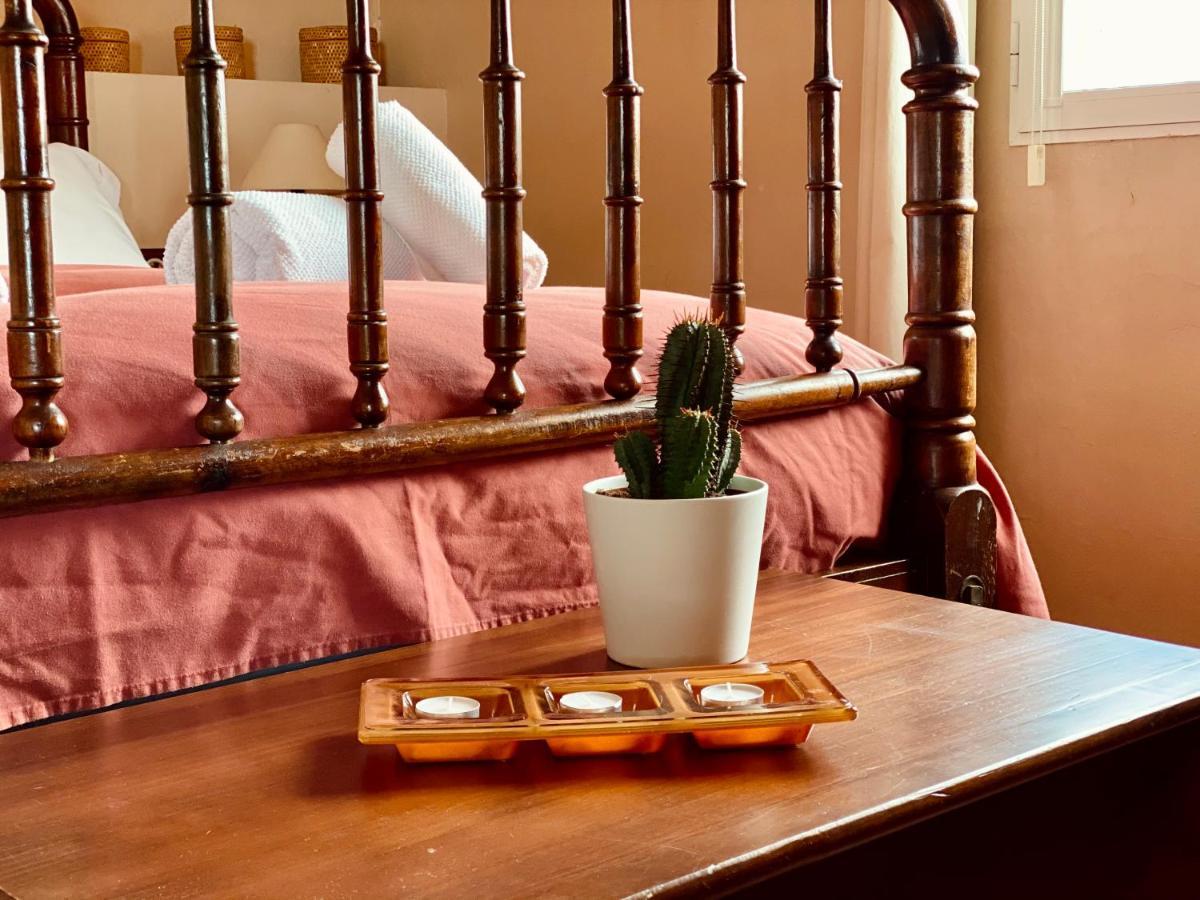 La Casa Del Riu Vell Villa Sant Jaume d'Enveja Luaran gambar